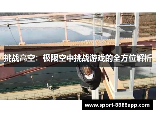 挑战高空：极限空中挑战游戏的全方位解析